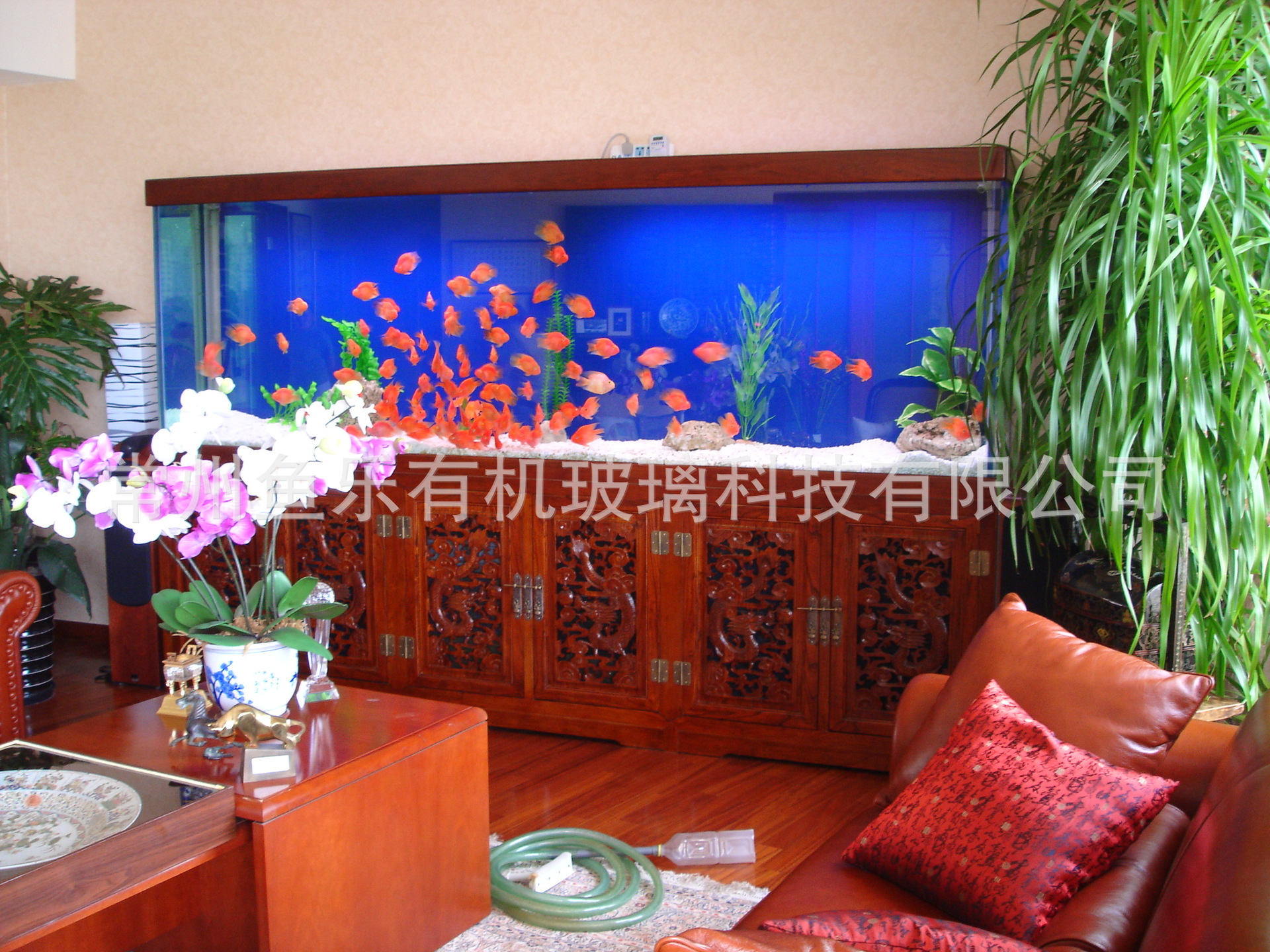 復件 DSC08519